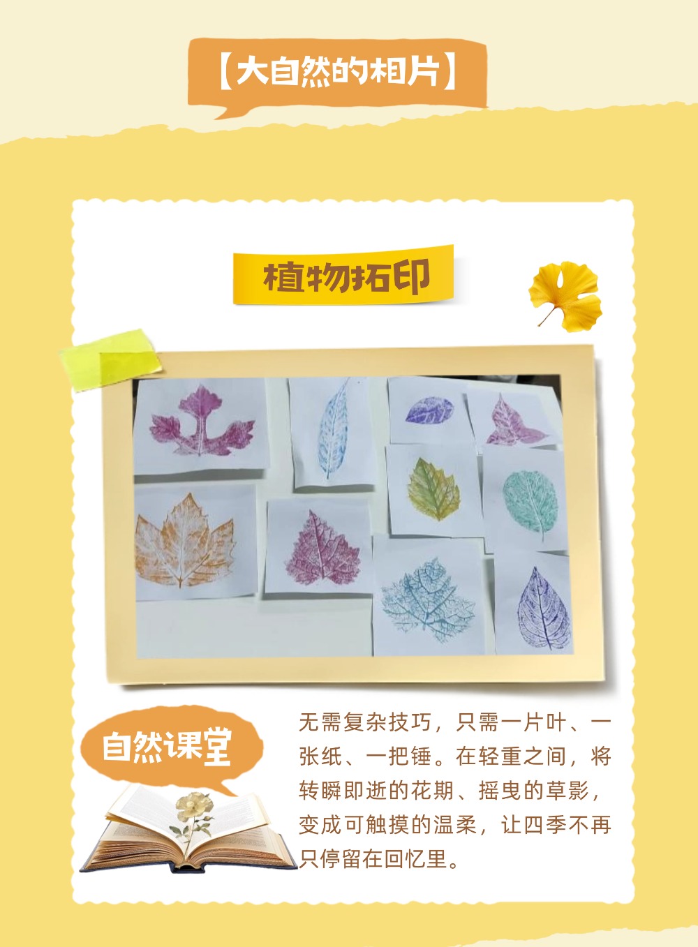 ����Զ��2 (5).jpg